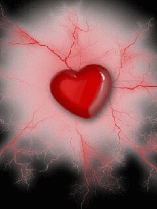 Carinho Animado: Os Melhores Gifs de Coração