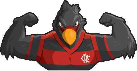 GIF Flamengo: Magia e Habilidade em Movimento