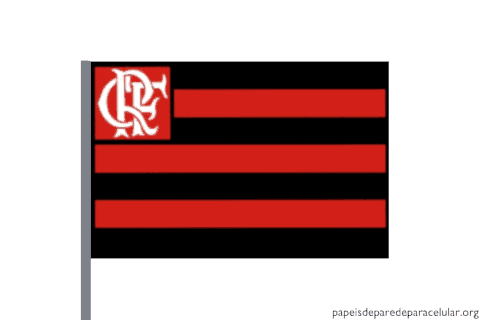 GIF Flamengo: Reviva a Emoção da Nação Rubro-Negra